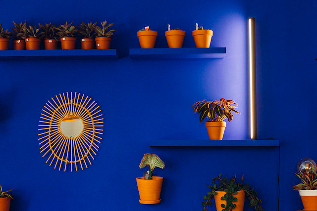 Groeilamp PlantSpectrum32 (78 cm)