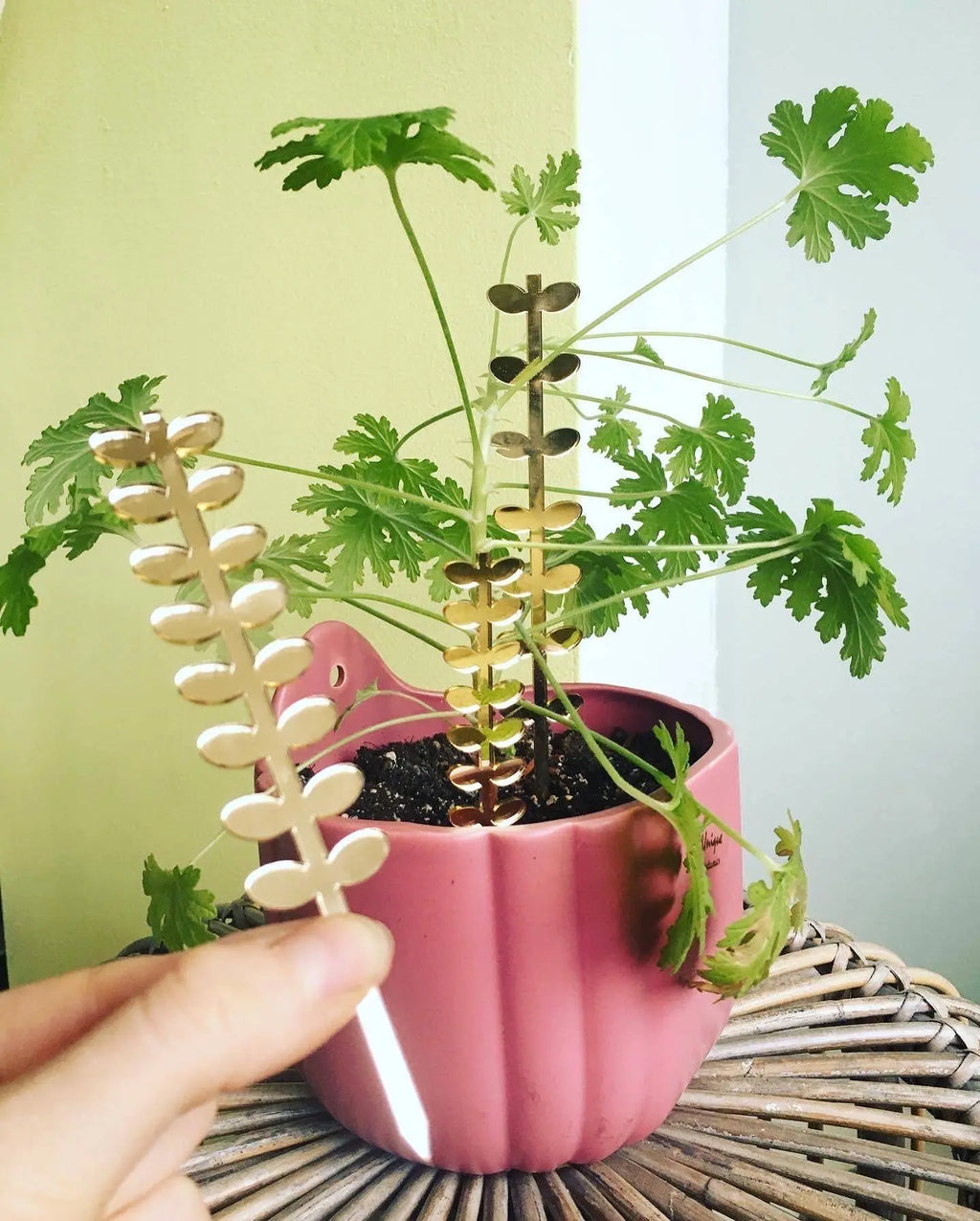 Plantensteun set Birdhouse en Leaves