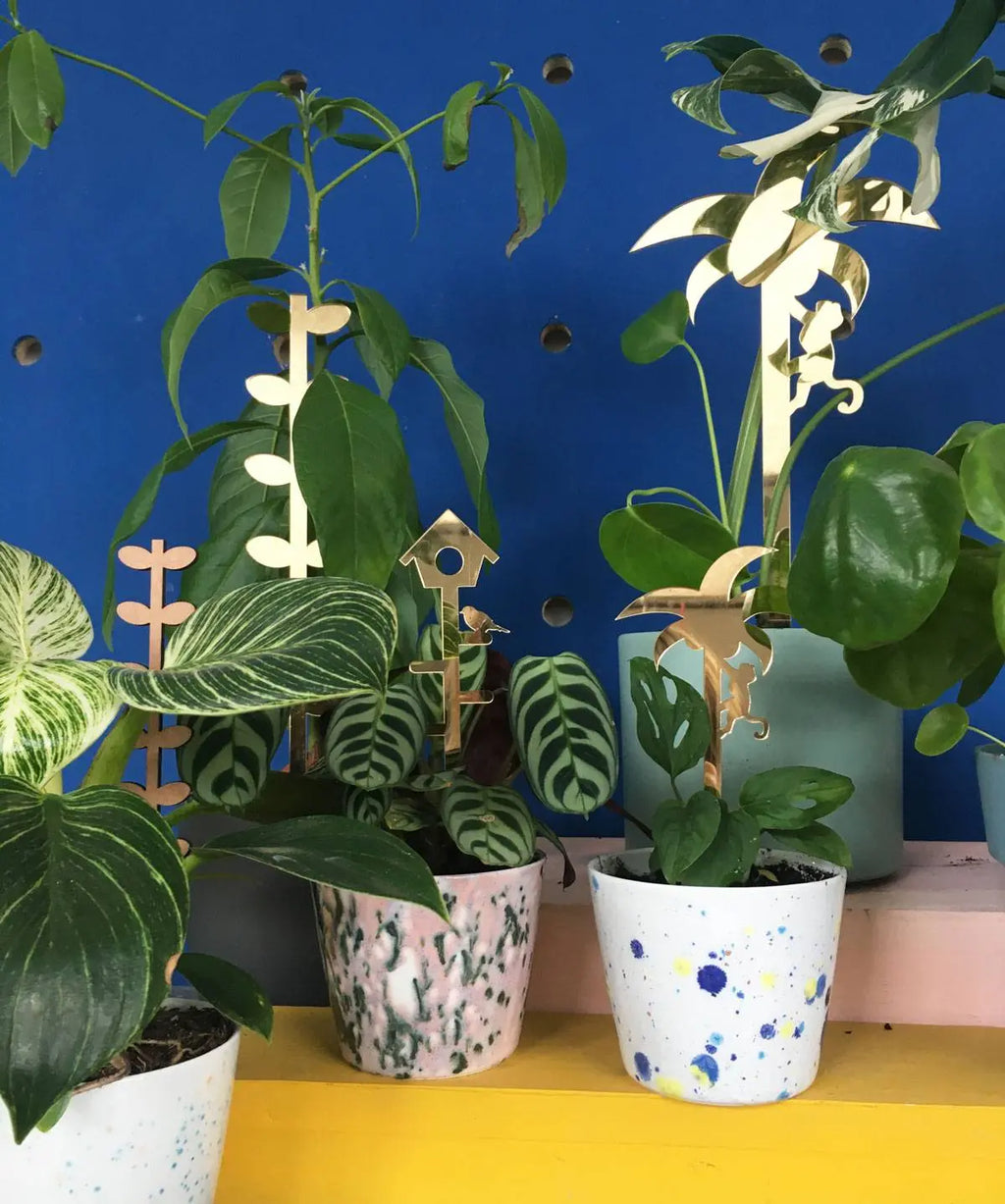 Plantensteun set Birdhouse en Leaves