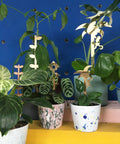 Plantensteun set Birdhouse en Leaves