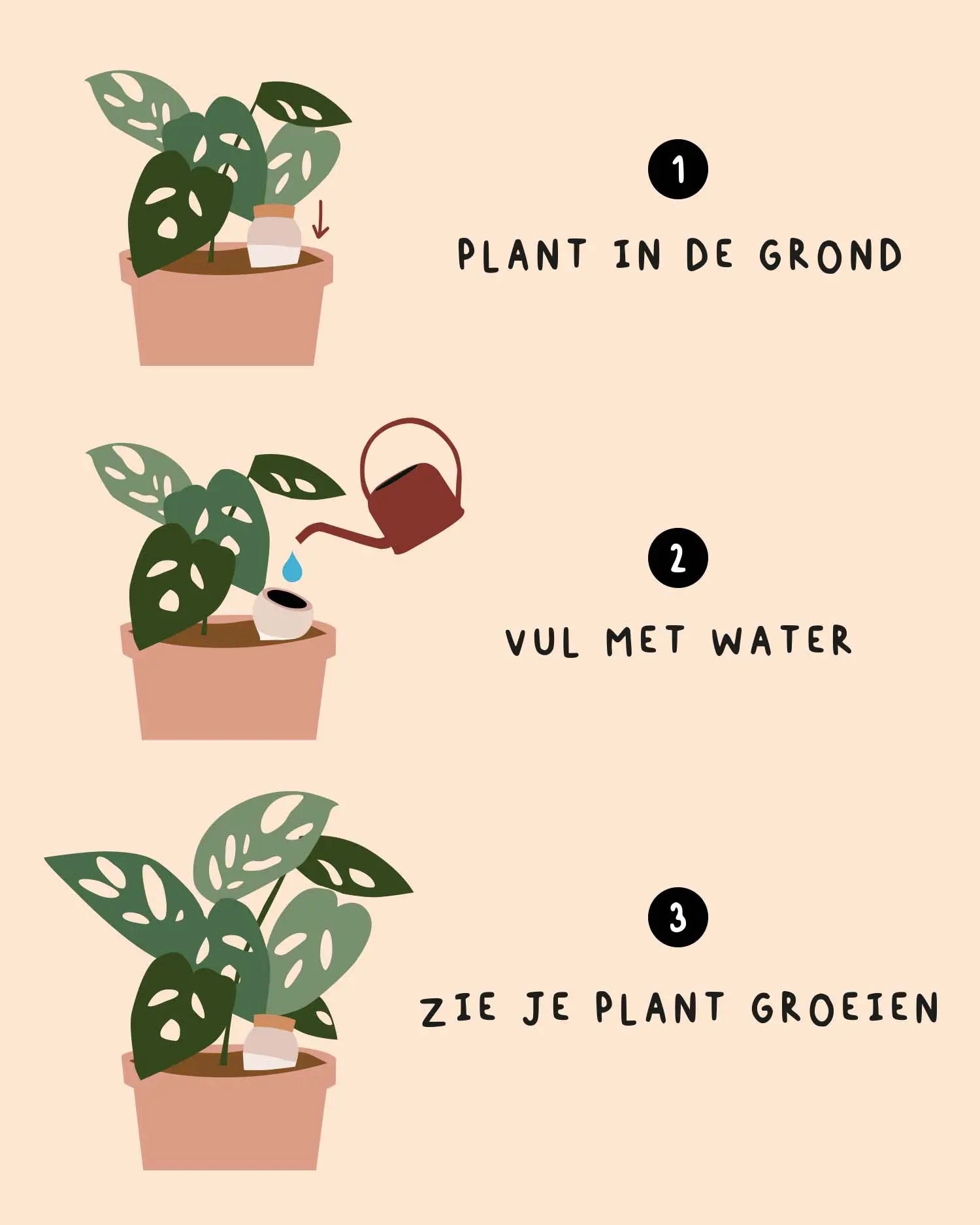 Olla van Pepin (parelwit)