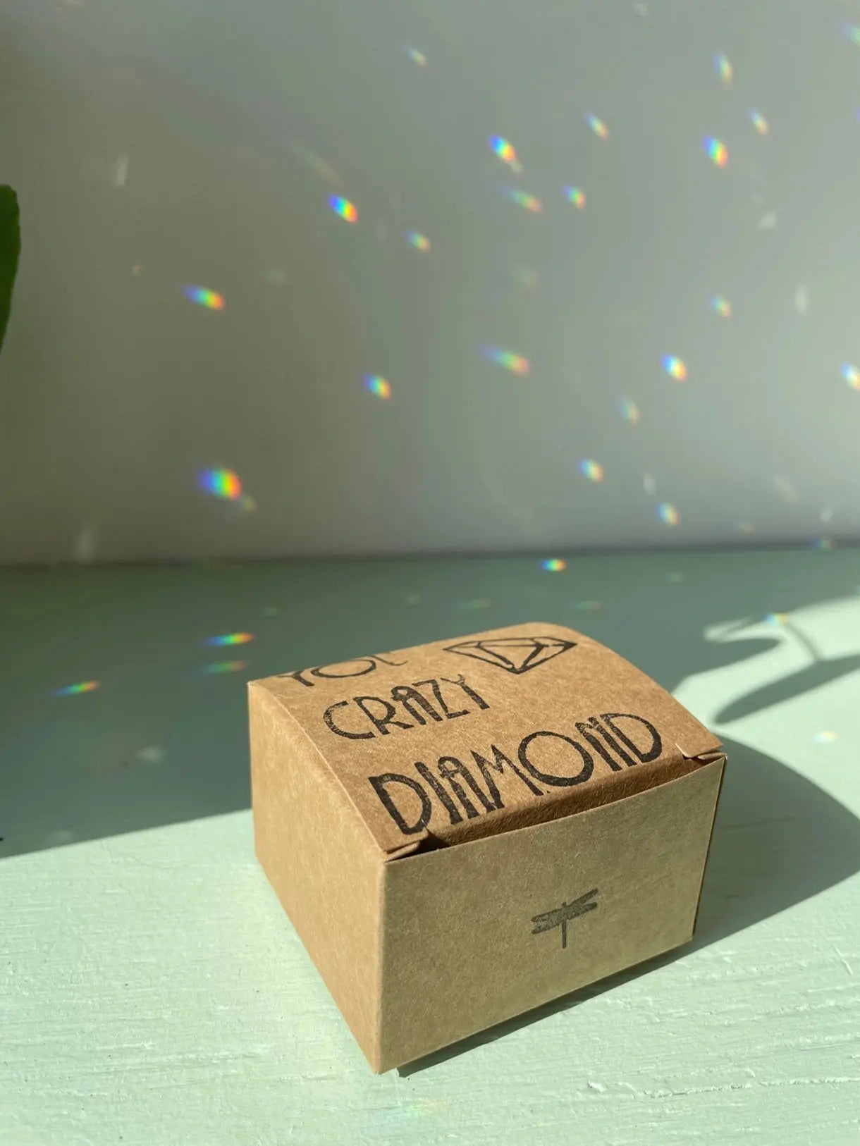 Suncatcher Monstera (raamkristal)