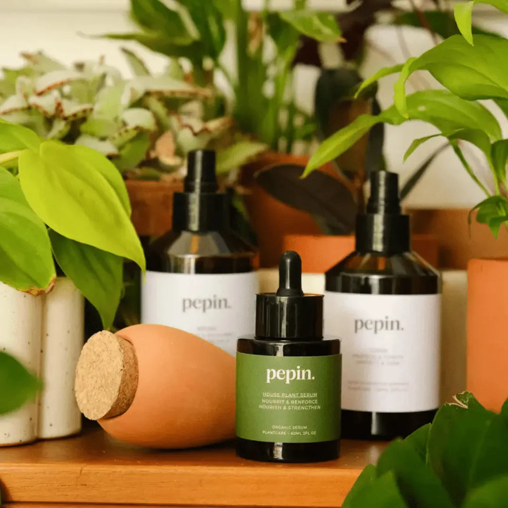 Plantcare routine - compleet verzorgingspakket voor planten