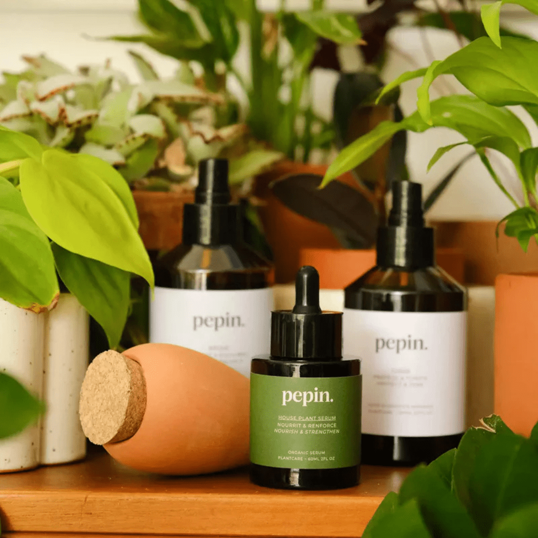 Plantcare routine - compleet verzorgingspakket voor planten