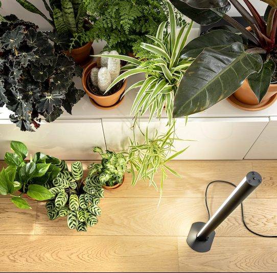 Groeilamp PlantSpectrum32 (78 cm)