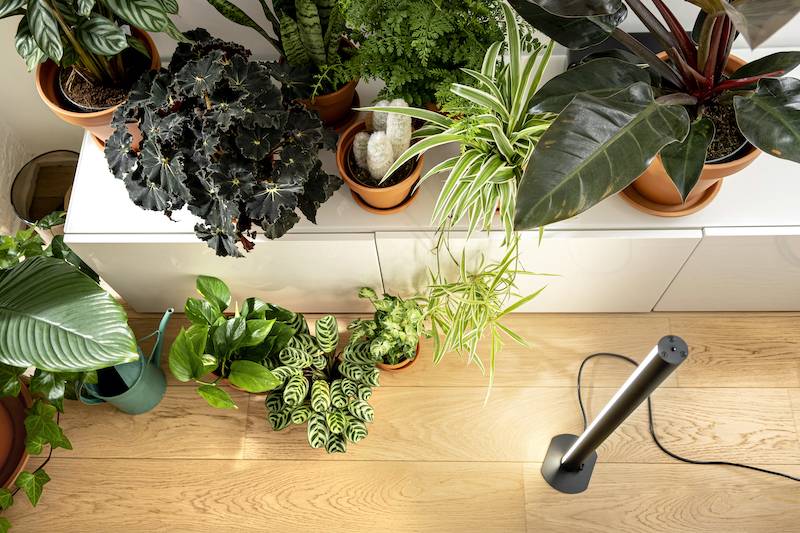 Groeilamp PlantSpectrum32 (78 cm)