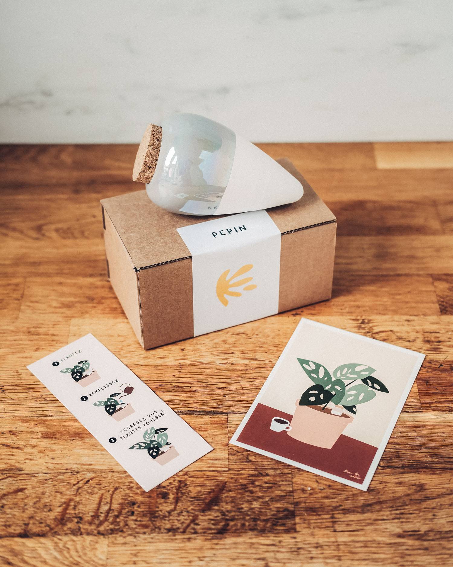 Olla van Pepin (koraalroze)