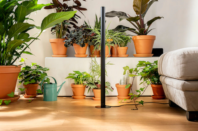 Groeilamp PlantSpectrum32 (78 cm)