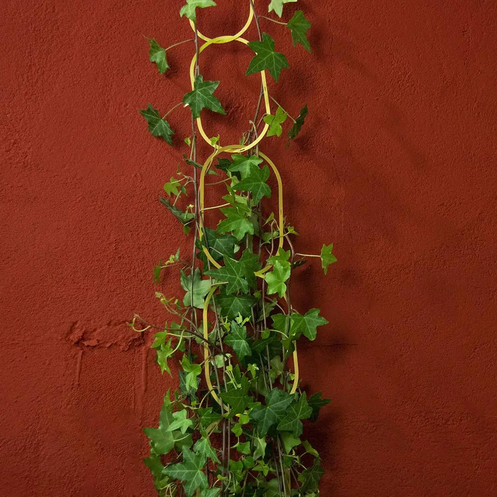 Gouden Messing Ketting: Klimplantensteun