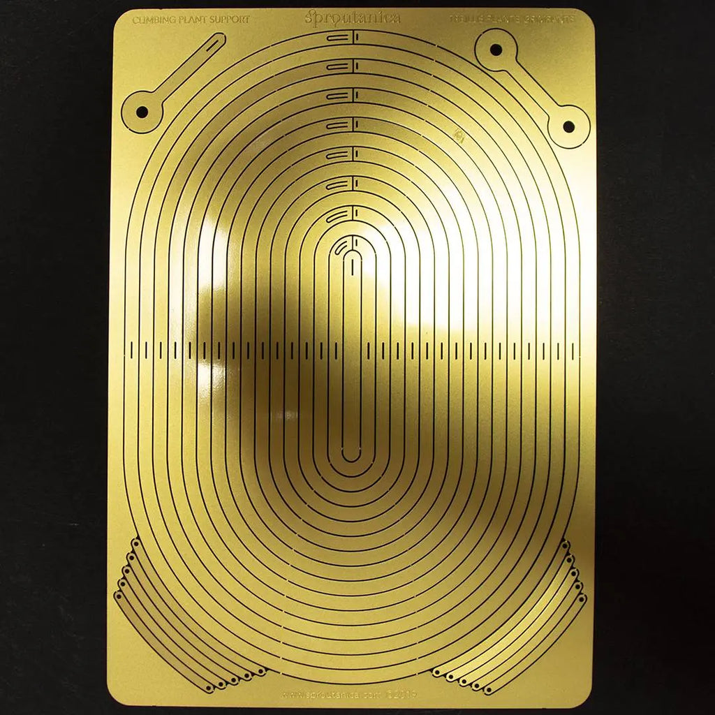 Gouden Messing Ketting: Klimplantensteun