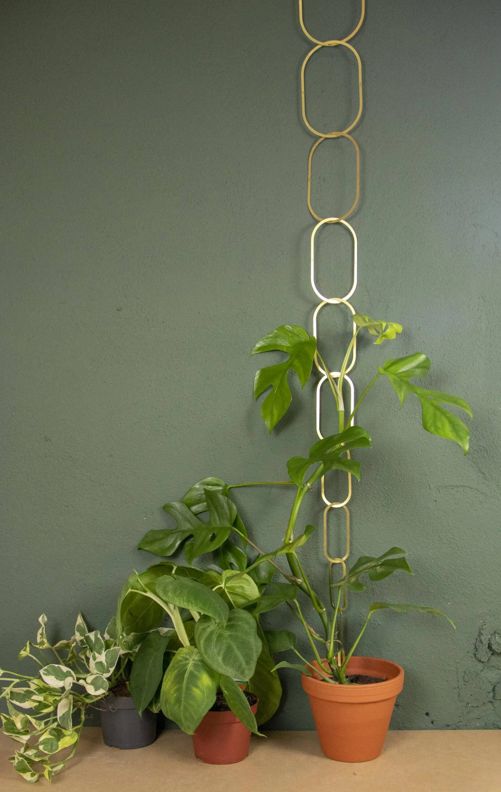 Gouden Messing Ketting: Klimplantensteun