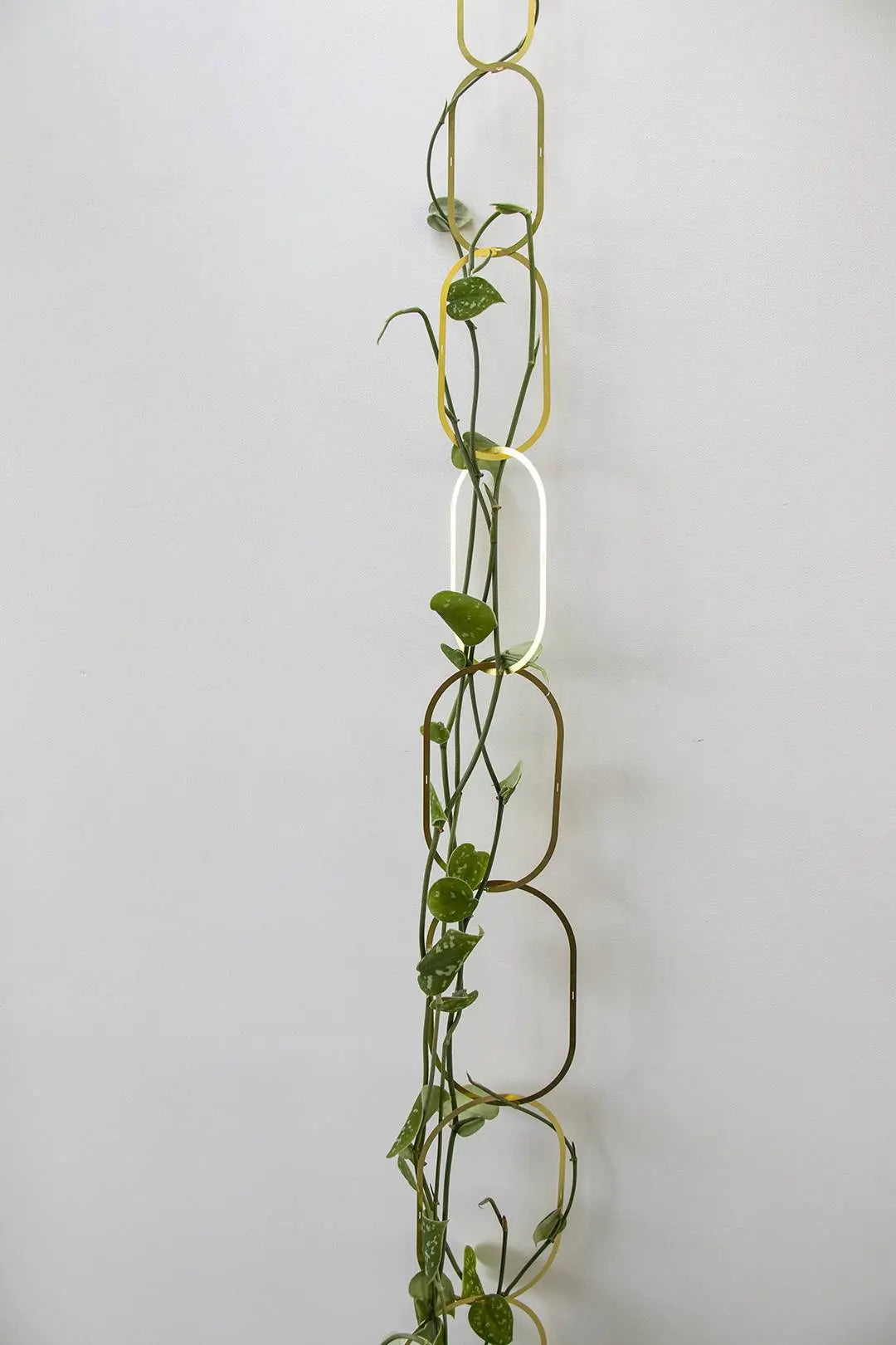 Gouden Messing Ketting: Klimplantensteun