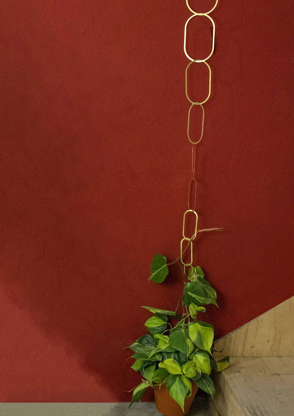 Gouden Messing Ketting: Klimplantensteun