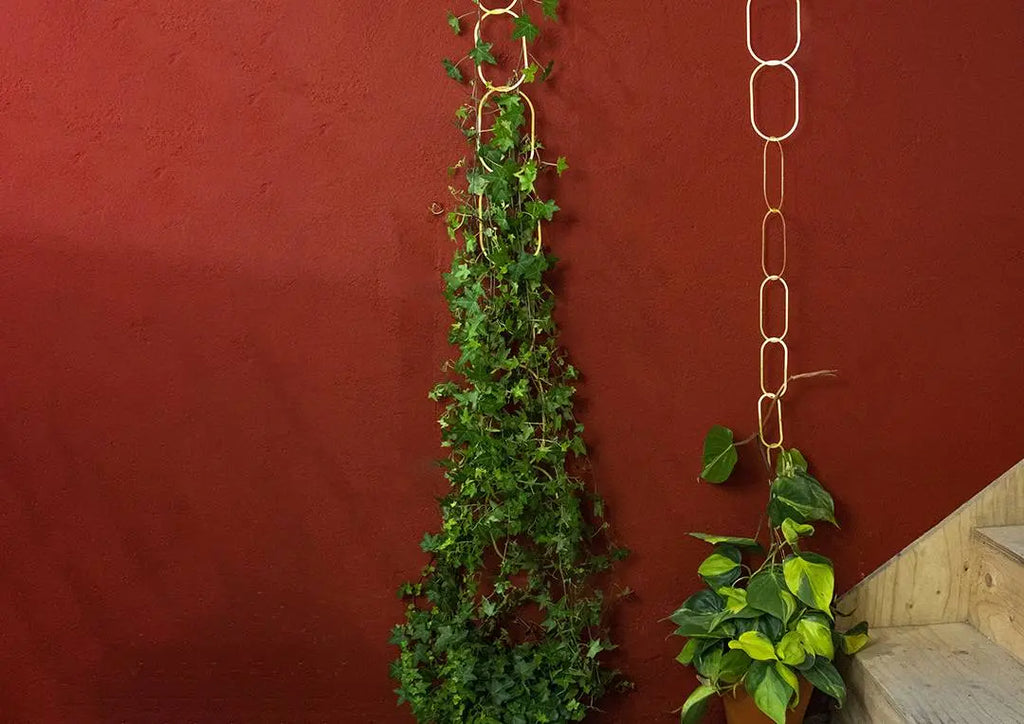 Gouden Messing Ketting: Klimplantensteun
