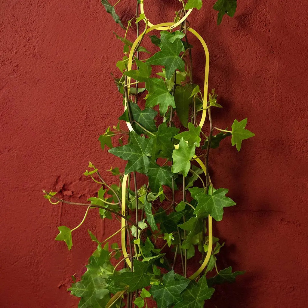 Gouden Messing Ketting: Klimplantensteun