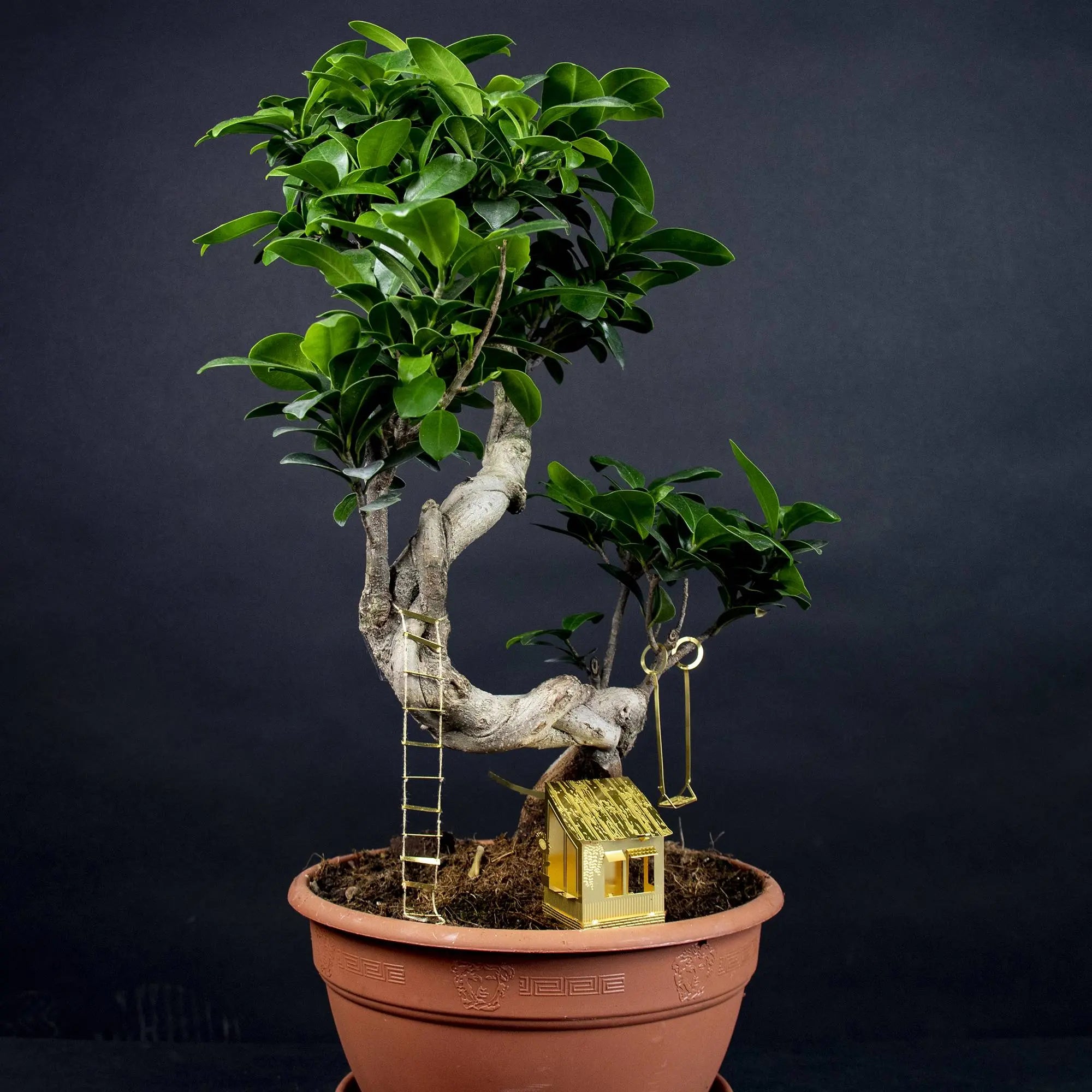 Tiny Treehouse: mini messing boomhutje voor je plant