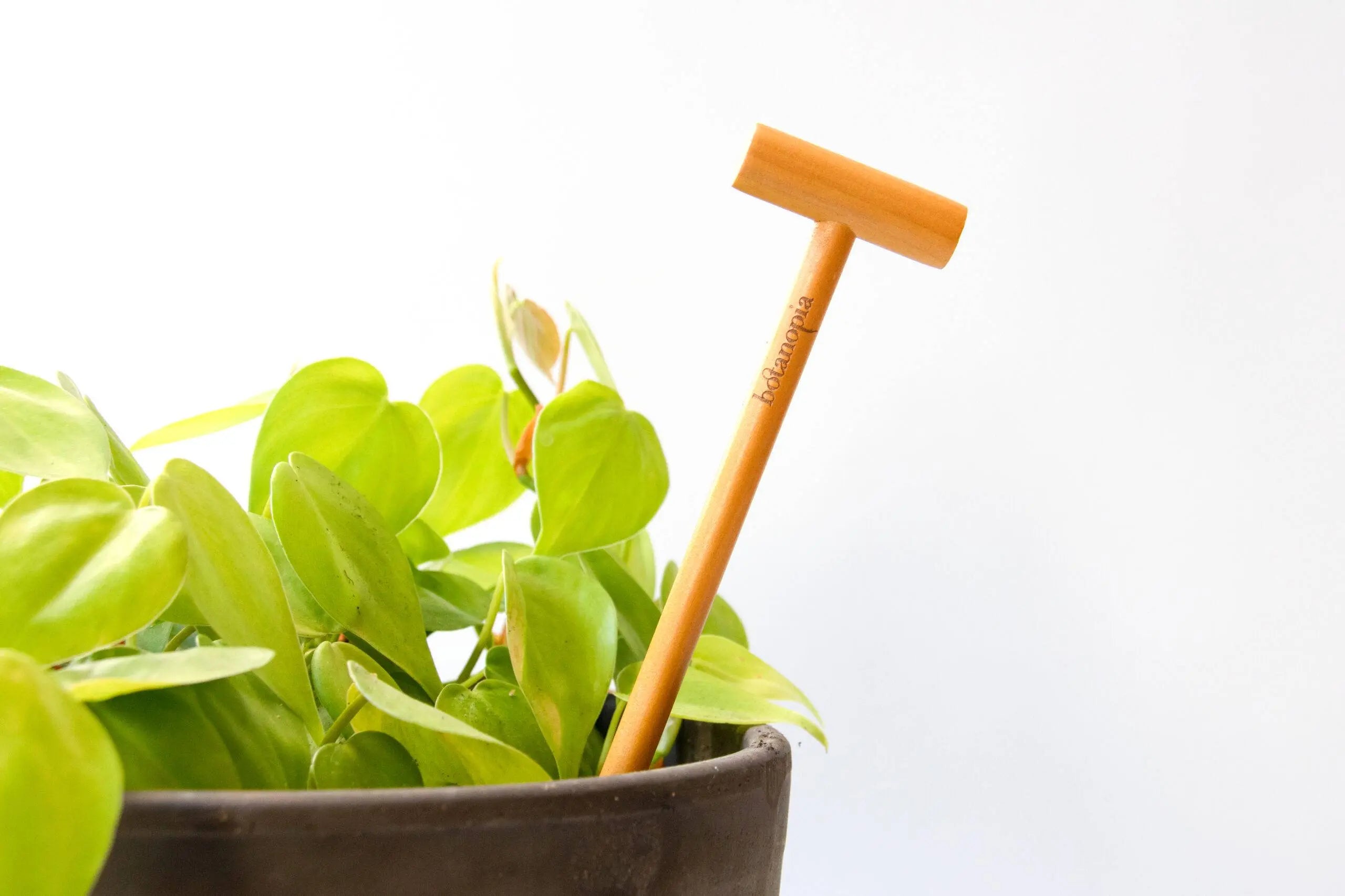 De grondchecker - houten bodemsonde om de vochtigheid van je potgrond te controleren