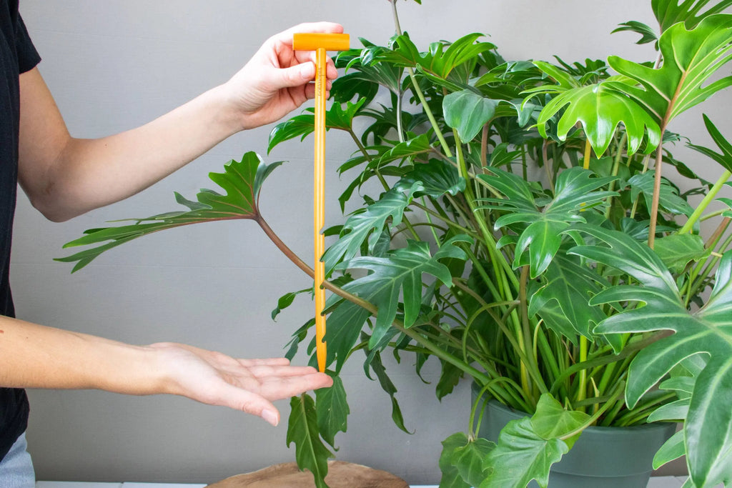 De grondchecker - houten bodemsonde om de vochtigheid van je potgrond te controleren