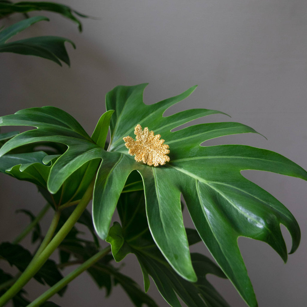 Gouden Geborduurde Broches - 3 tropische bladeren