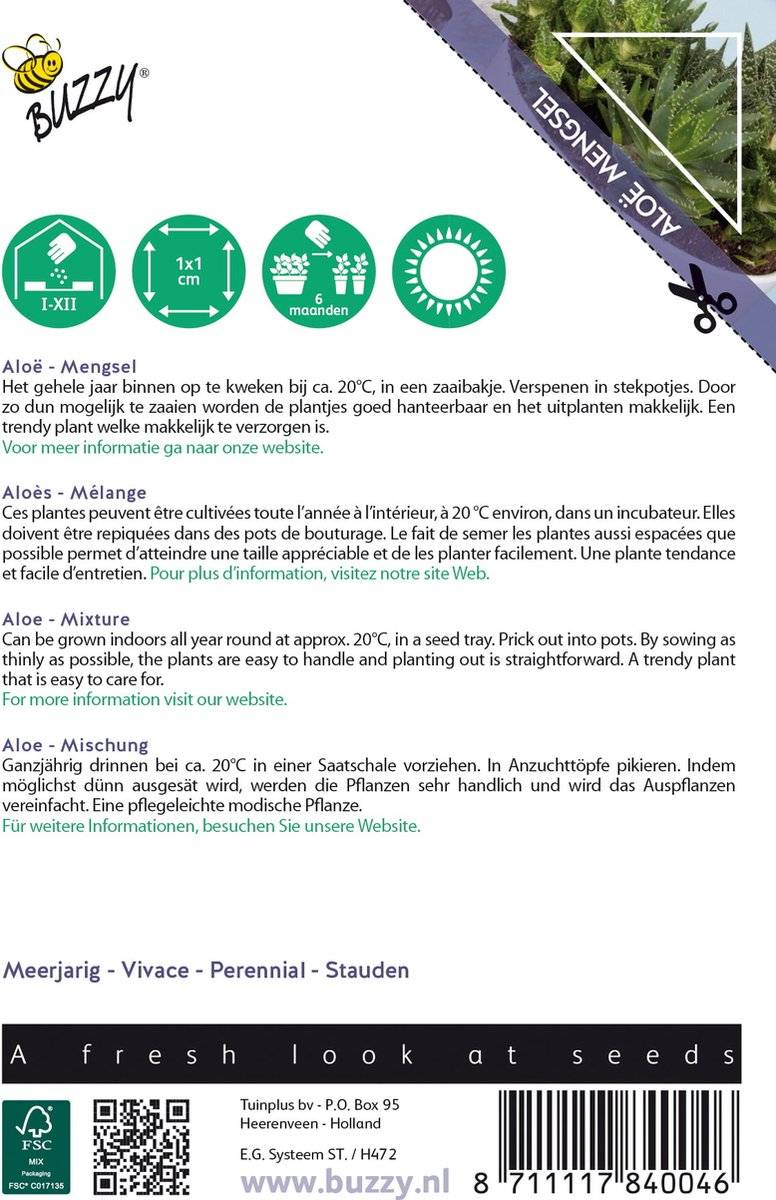 Buzzy® House Plants Aloë (gemengde soorten)