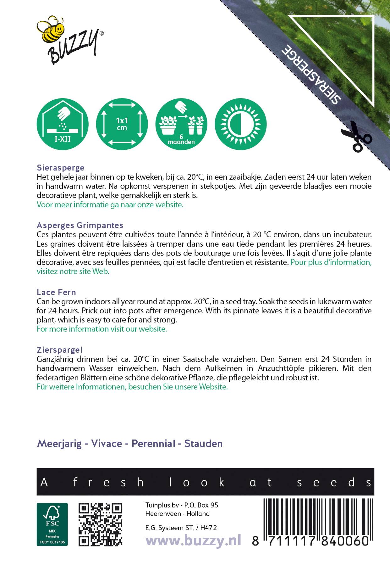 Buzzy® House Plants Asparagus (Sierasperge)