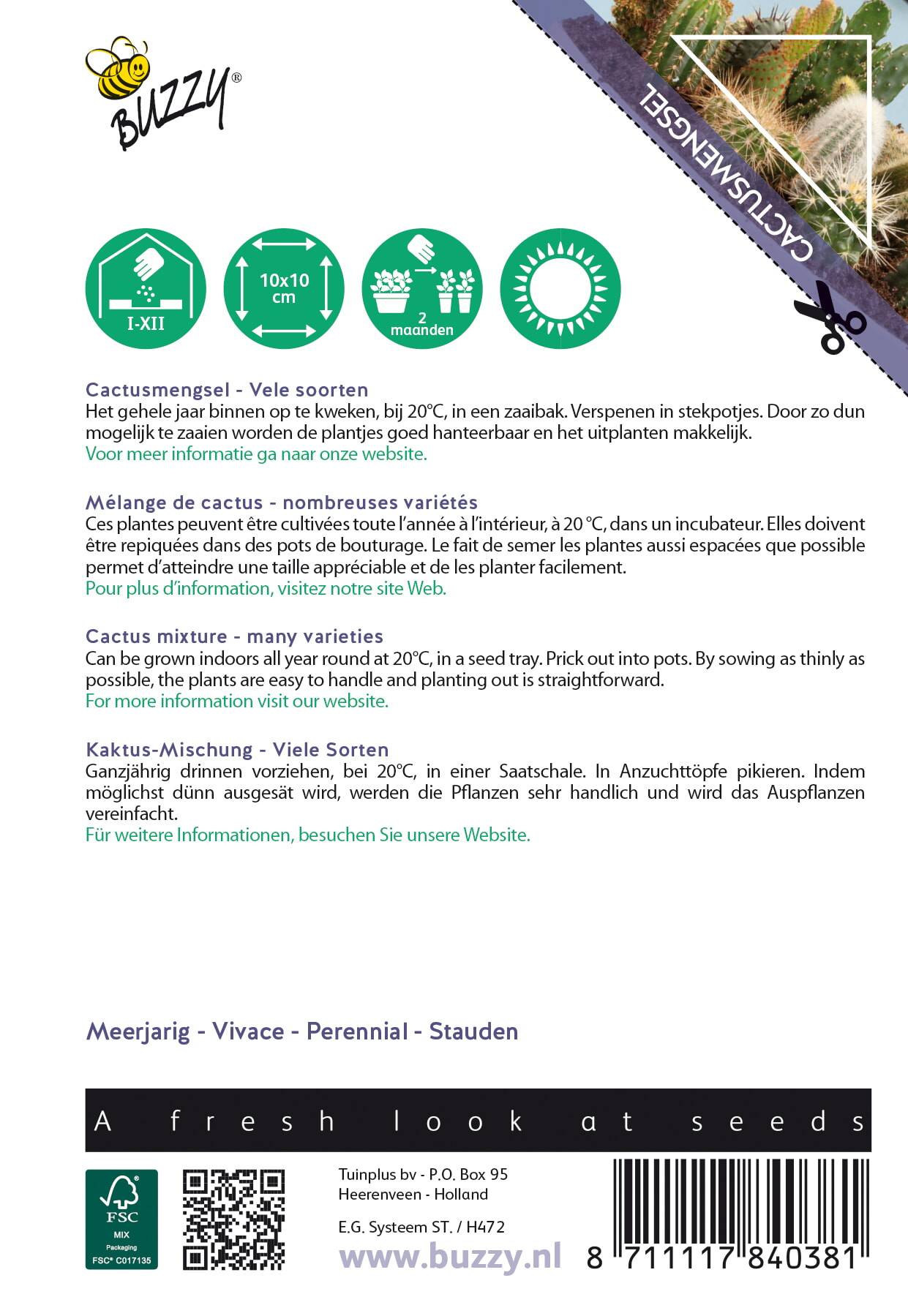 Buzzy® House Plants Cactus mengsel