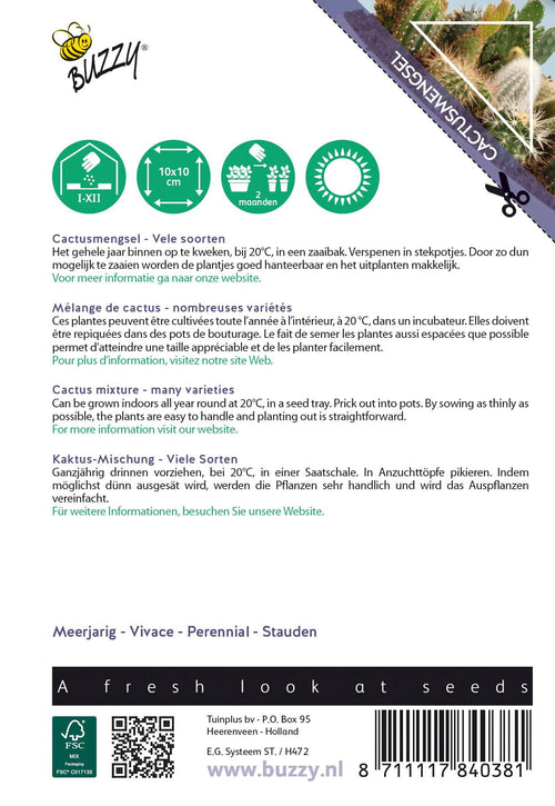 Buzzy® House Plants Cactus mengsel