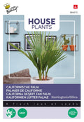 Buzzy® House Plants Californische palm