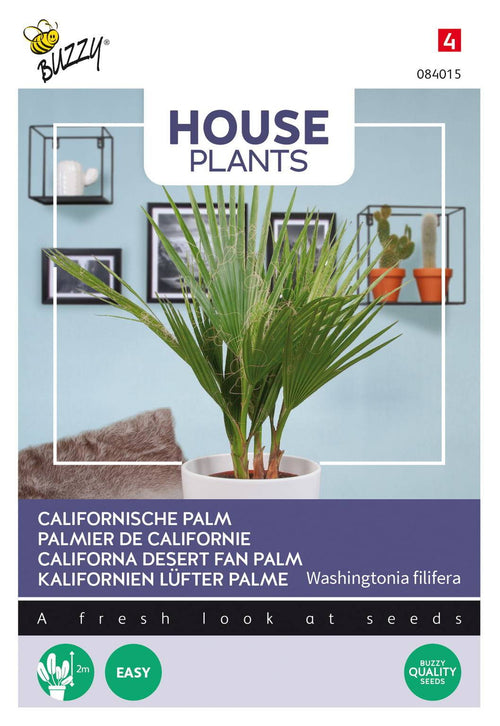 Buzzy® House Plants Californische palm