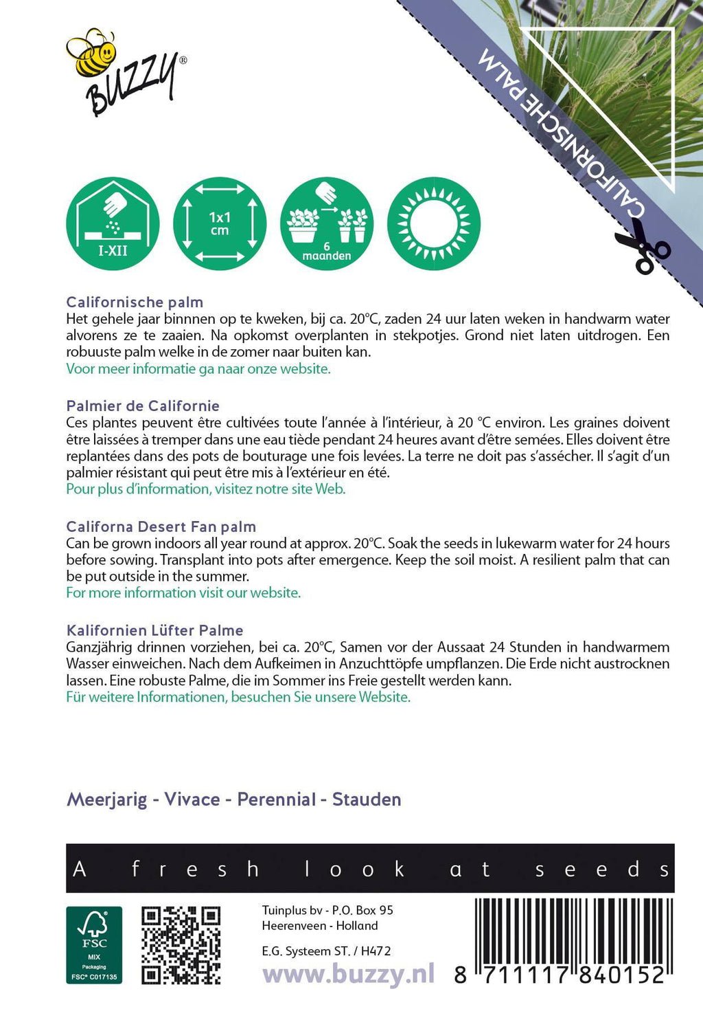 Buzzy® House Plants Californische palm