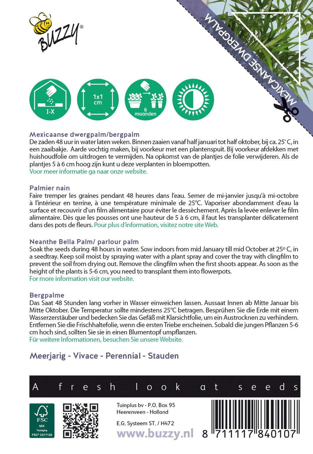 Buzzy® House Plants Chamaedorea (Mexicaanse dwergpalm)