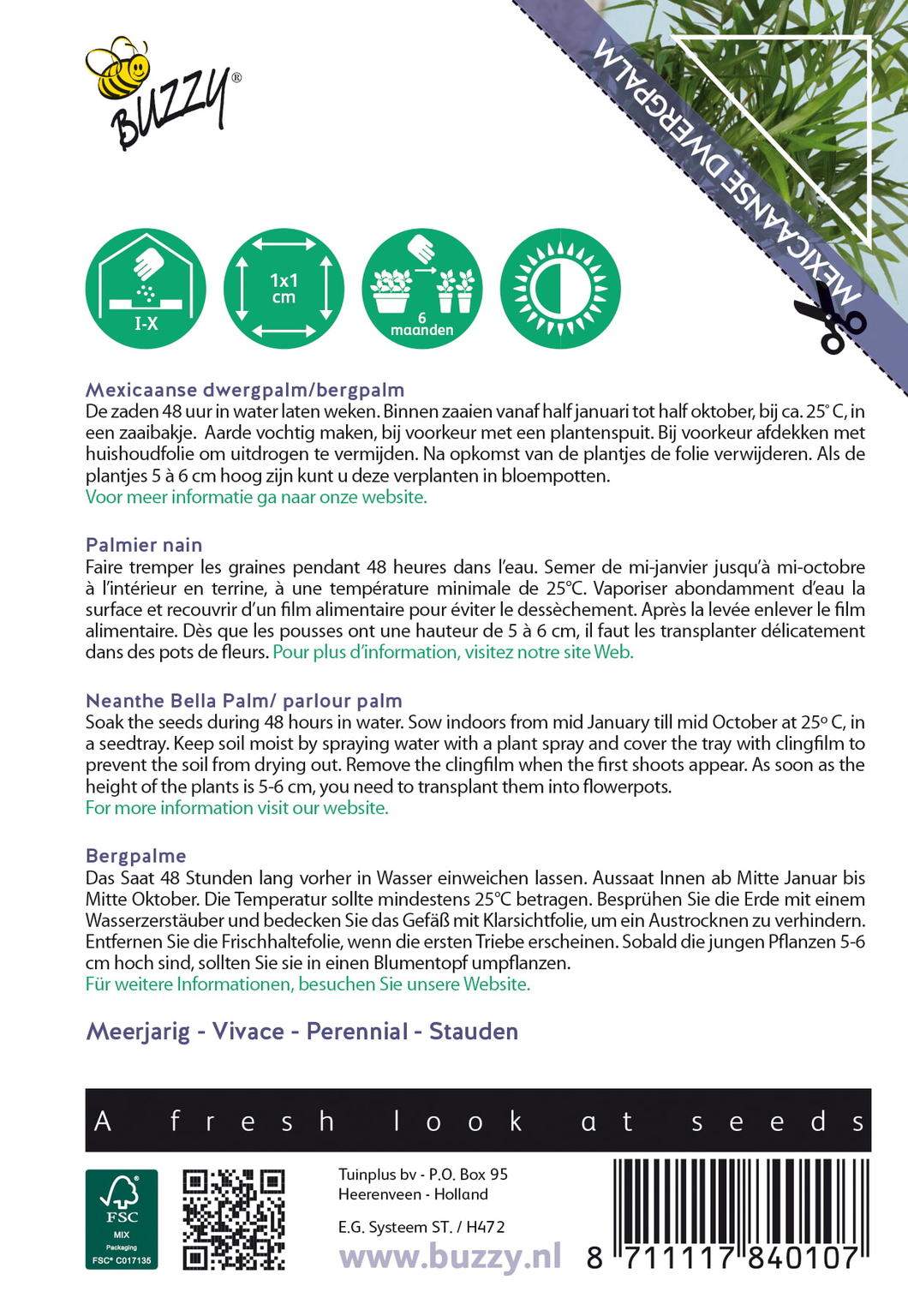 Buzzy® House Plants Chamaedorea (Mexicaanse dwergpalm)