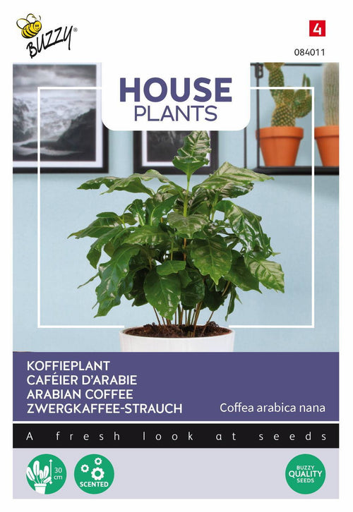 Buzzy® House Plants Coffea Arabica (koffieplant)
