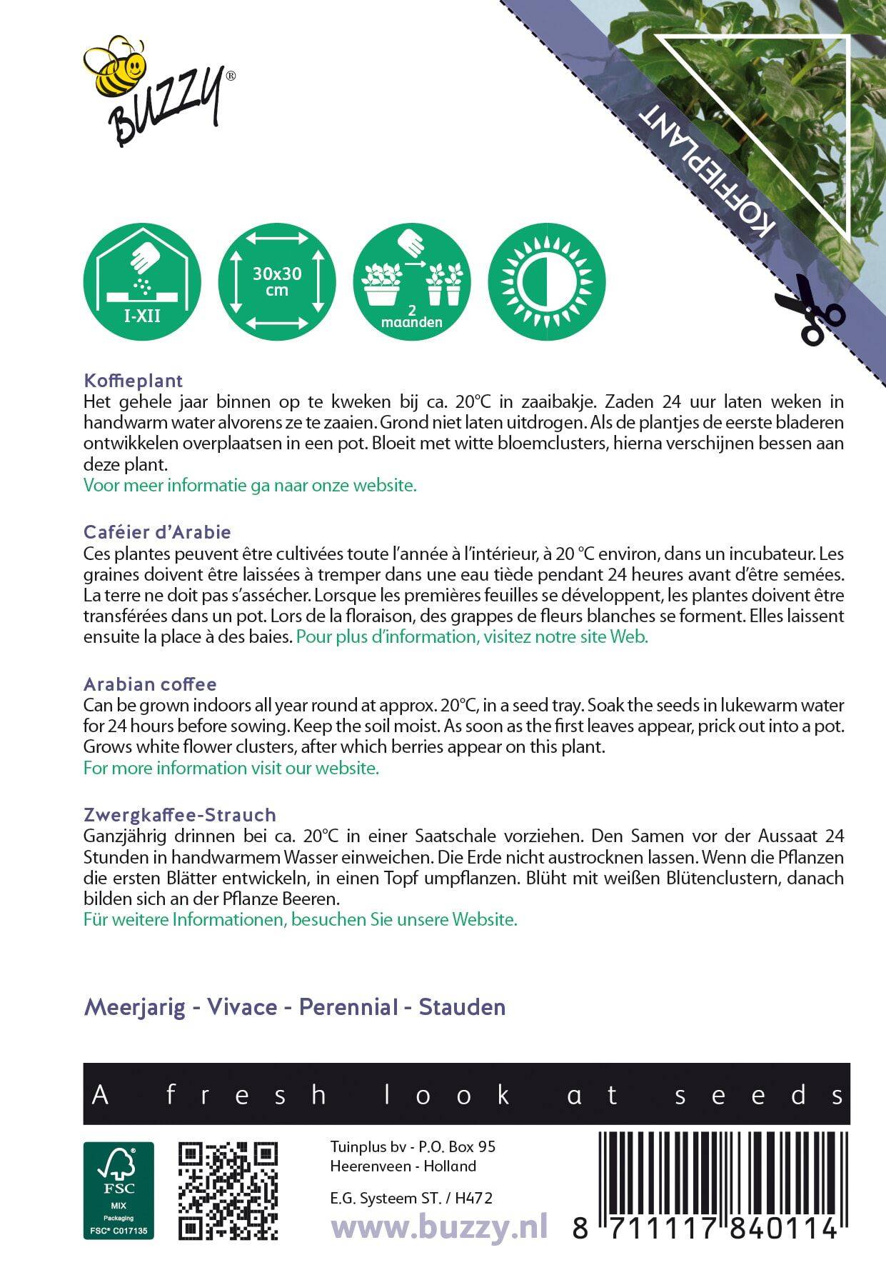 Buzzy® House Plants Coffea Arabica (koffieplant)