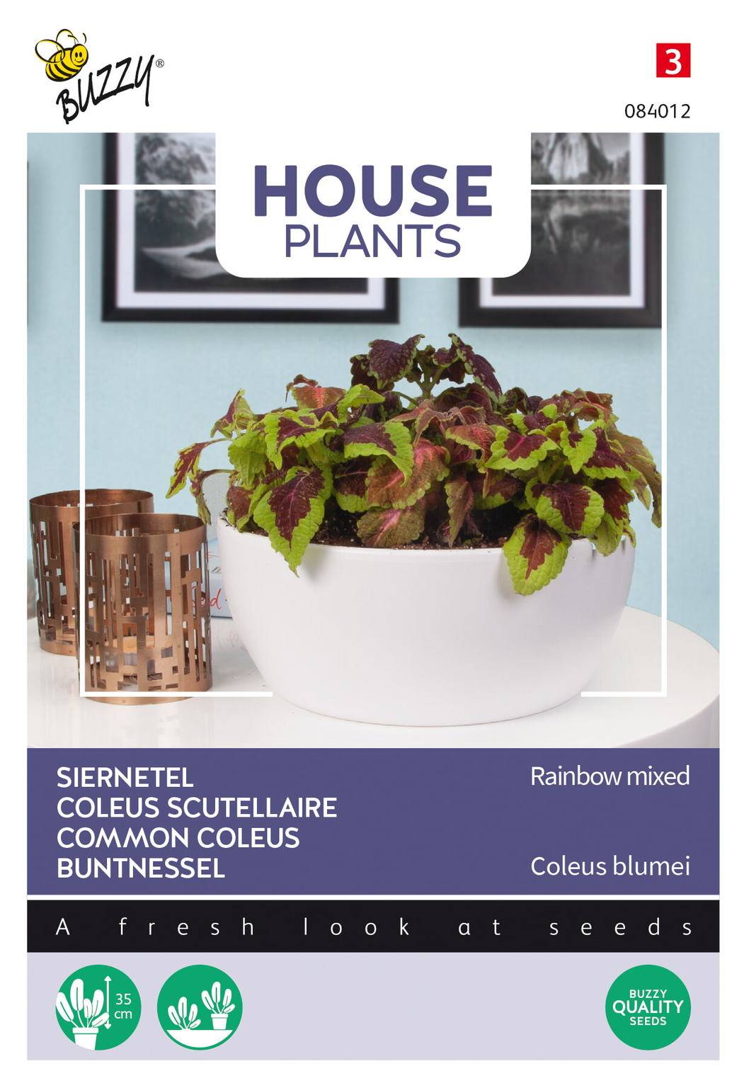 Buzzy® House Plants Coleus (Siernetel Rainbow mix)