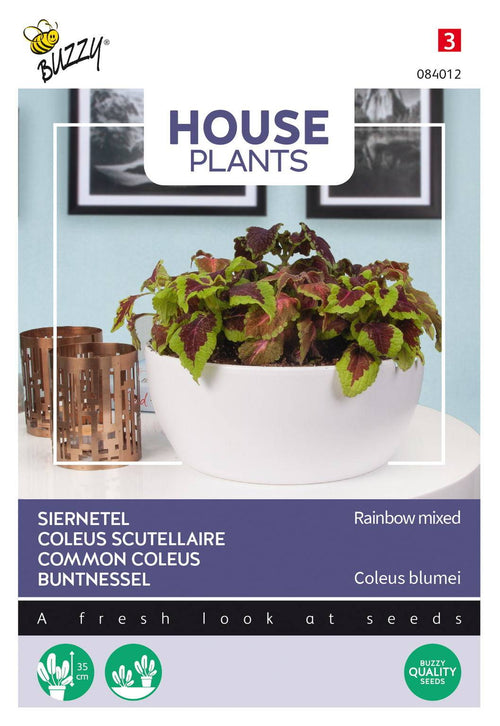 Buzzy® House Plants Coleus (Siernetel Rainbow mix)