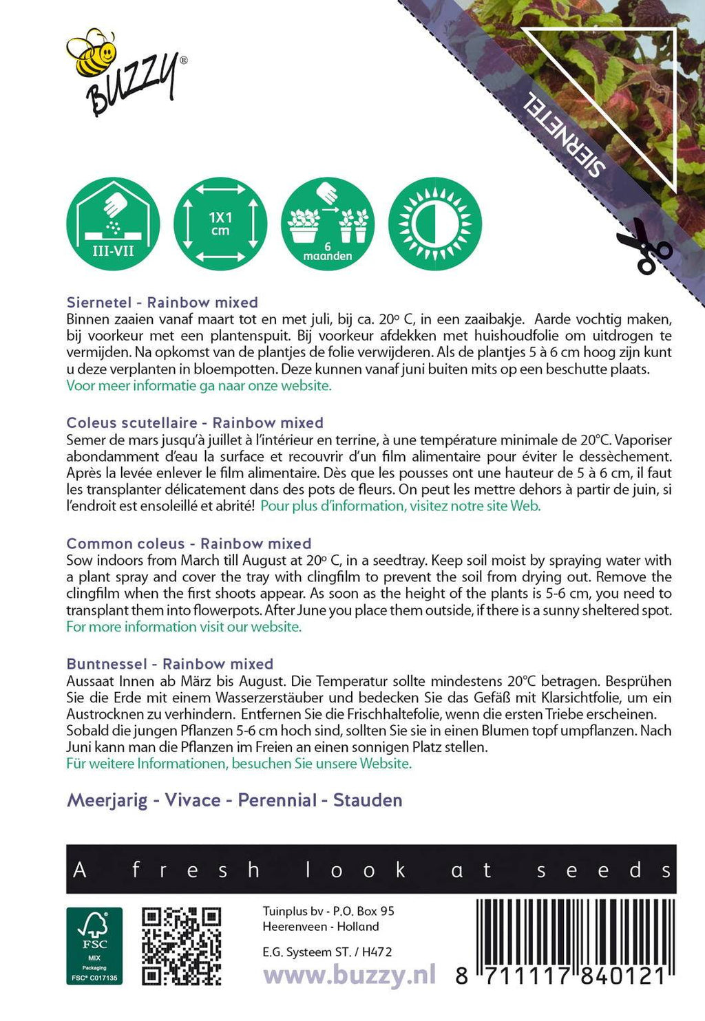 Buzzy® House Plants Coleus (Siernetel Rainbow mix)