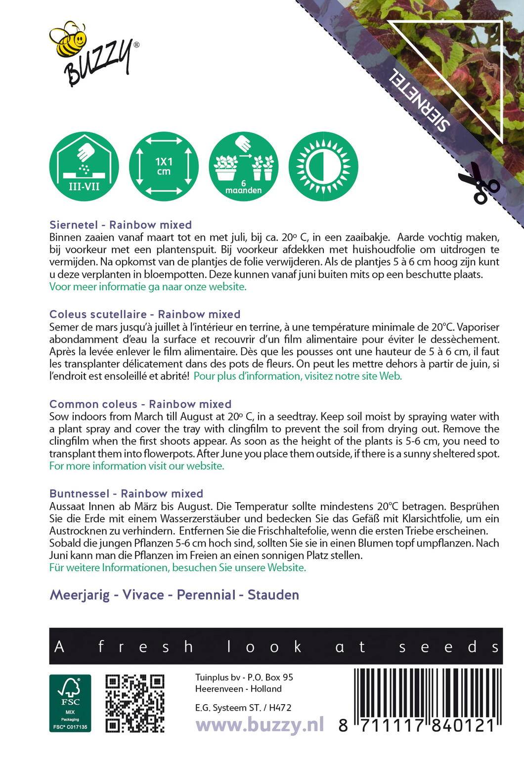 Buzzy® House Plants Coleus (Siernetel Rainbow mix)