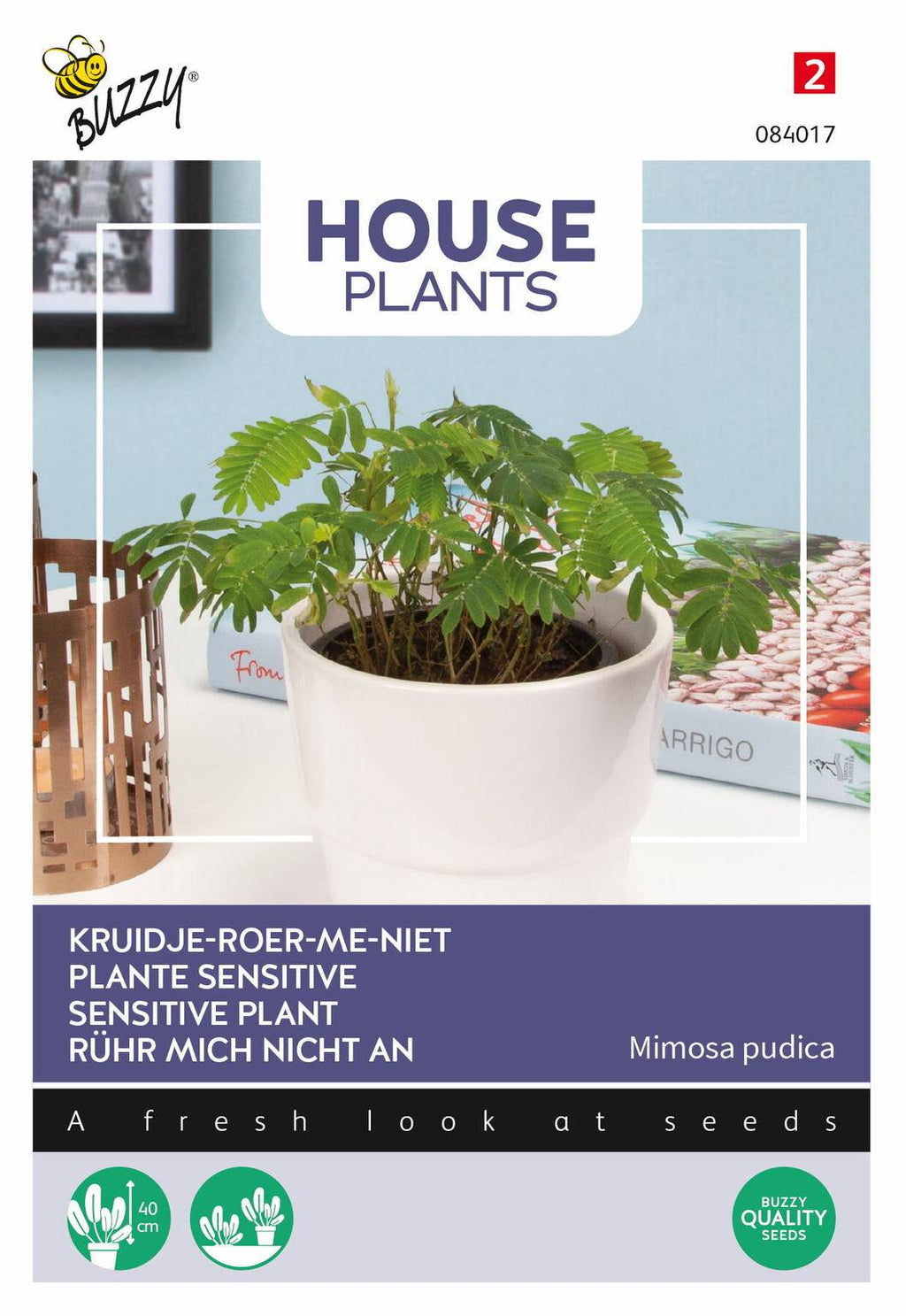 Buzzy® House Plants Mimosa pudica (Kruidje roer me niet)