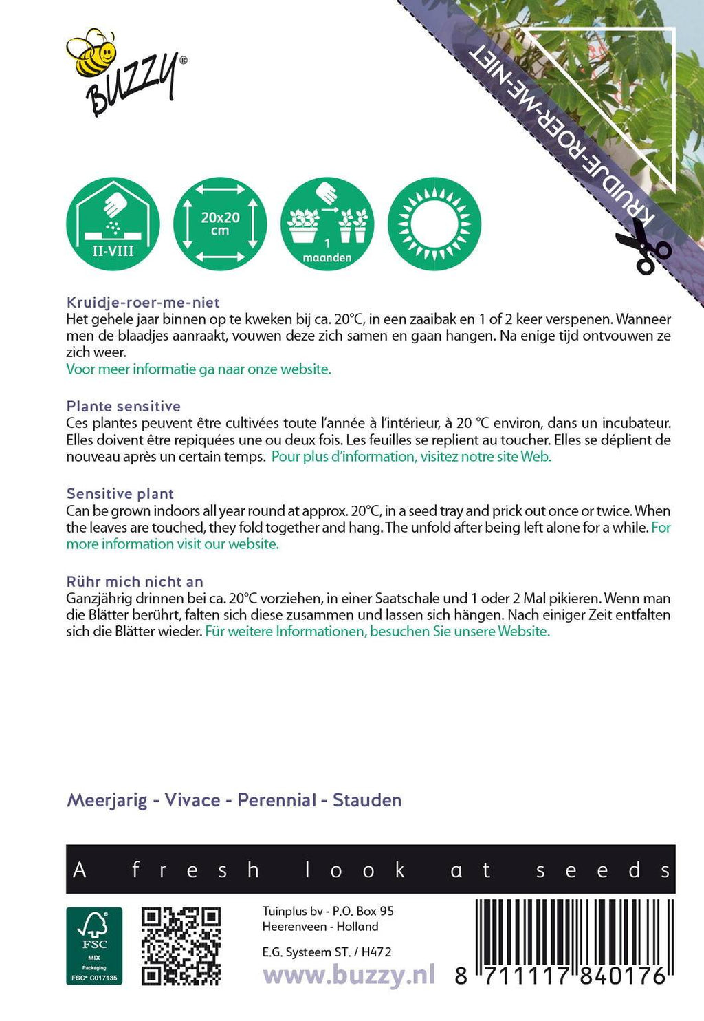 Buzzy® House Plants Mimosa pudica (Kruidje roer me niet)