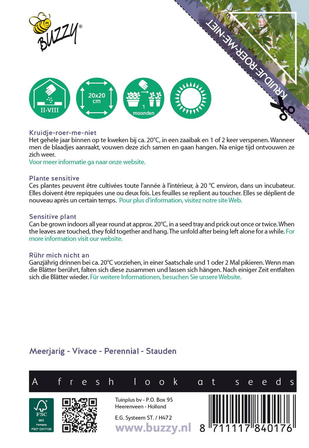 Buzzy® House Plants Mimosa pudica (Kruidje roer me niet)