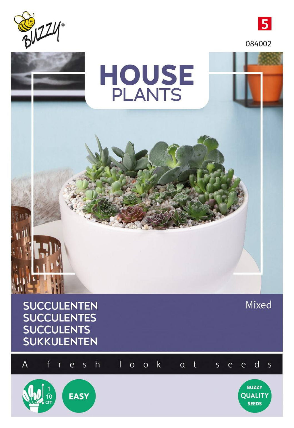 Buzzy® House Plants Mixed Succulents (vetplanten)