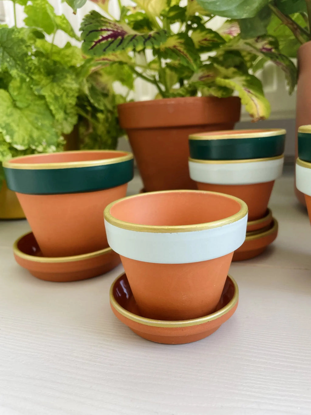 Terracotta bloempotje ⌀8 cm