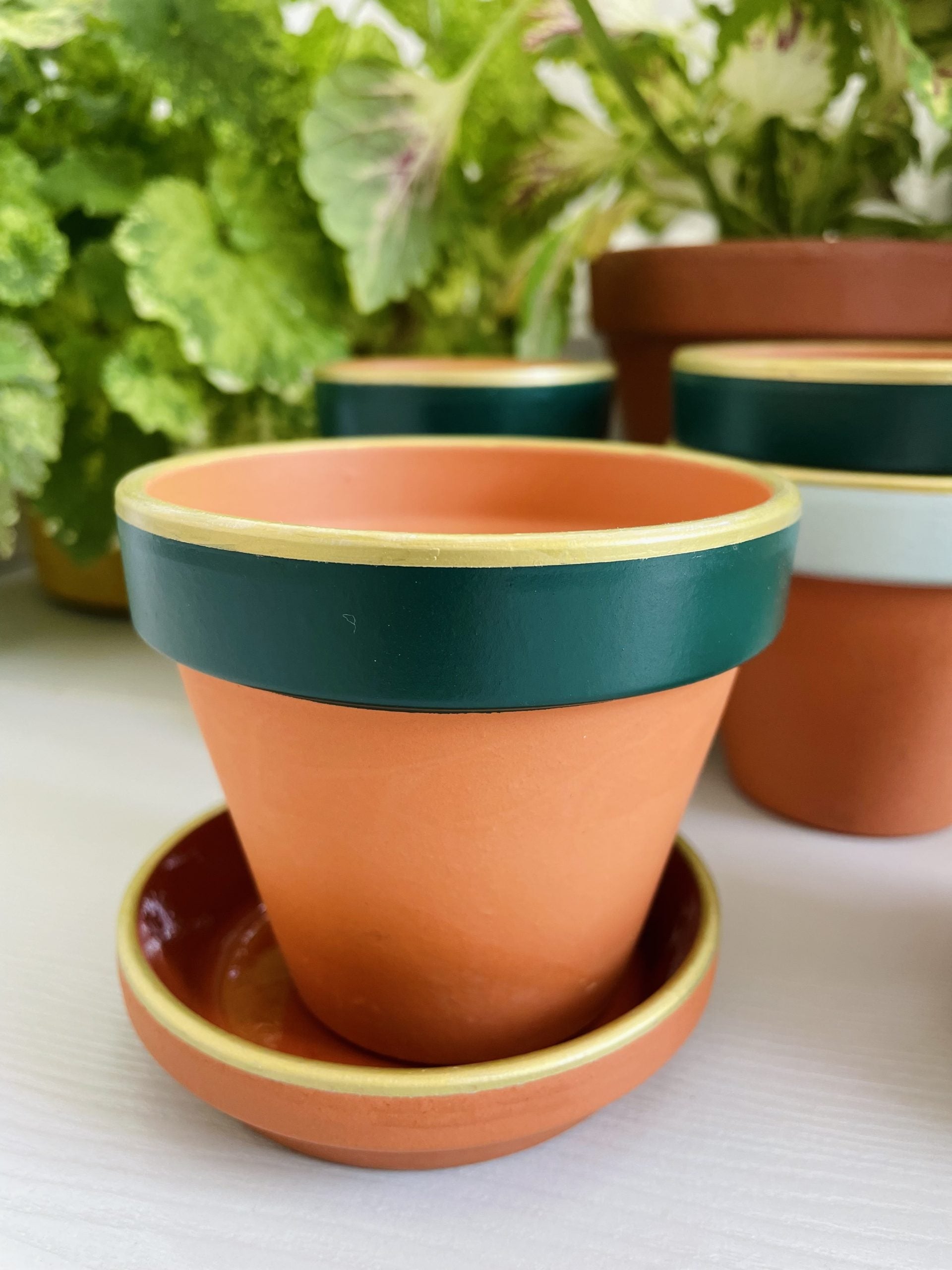 Terracotta bloempotje ⌀8 cm