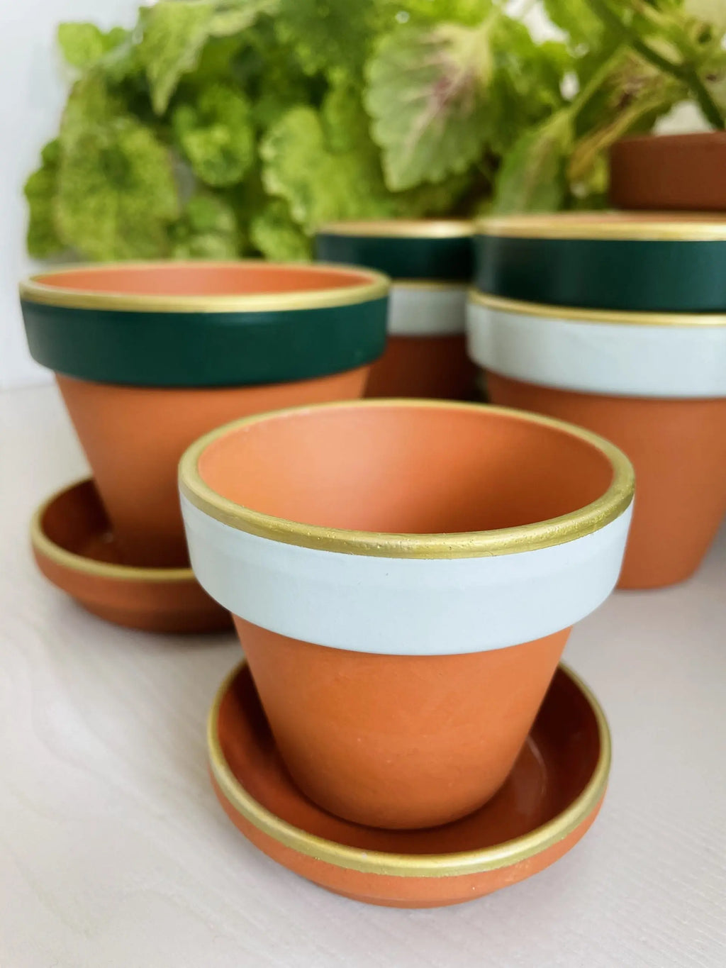 Terracotta bloempotje ⌀8 cm