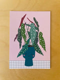 Postkaart 'Begonia Stippenplant'