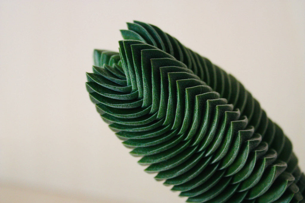 Crassula Buddha's Temple