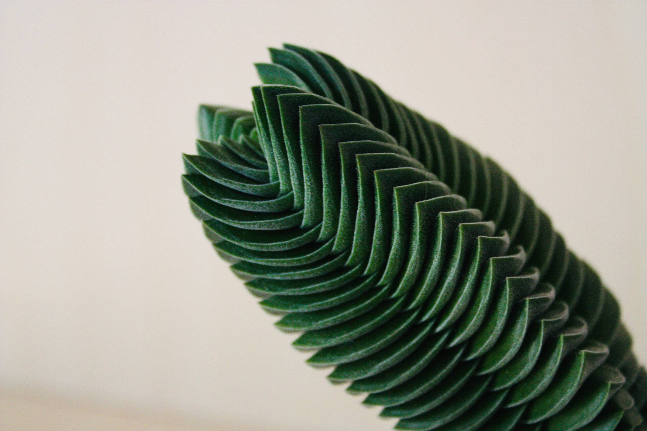 Crassula Buddha's Temple