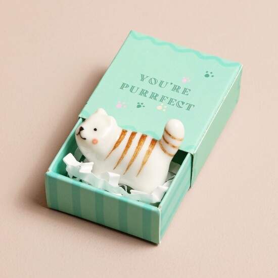 Tiny matchbox met mini beeldje (you're purrfect)