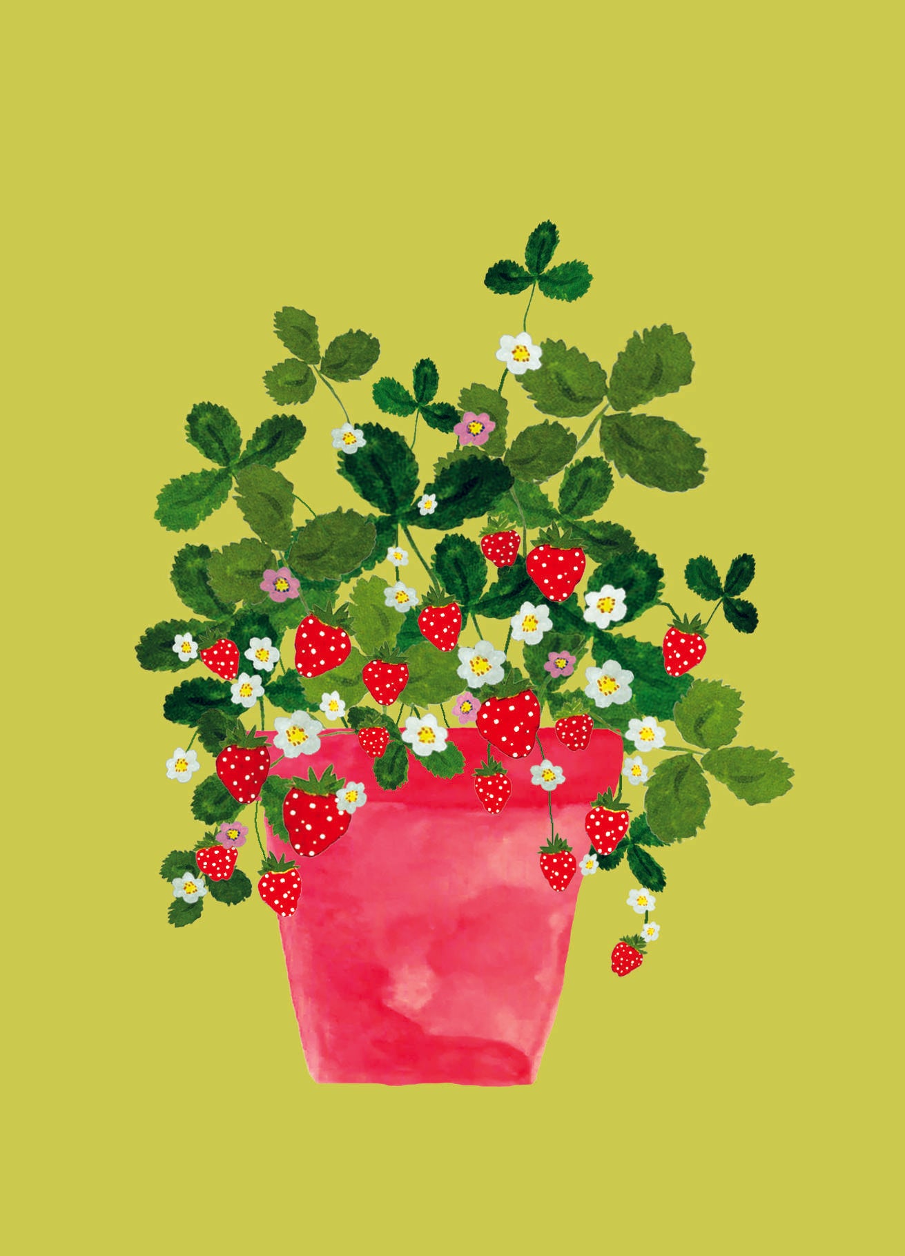 Ansichtkaart - Aardbeienplant